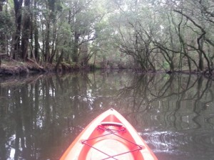 20130115_111410 (800x600)