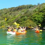 Eco Tour in Coffs Harbour